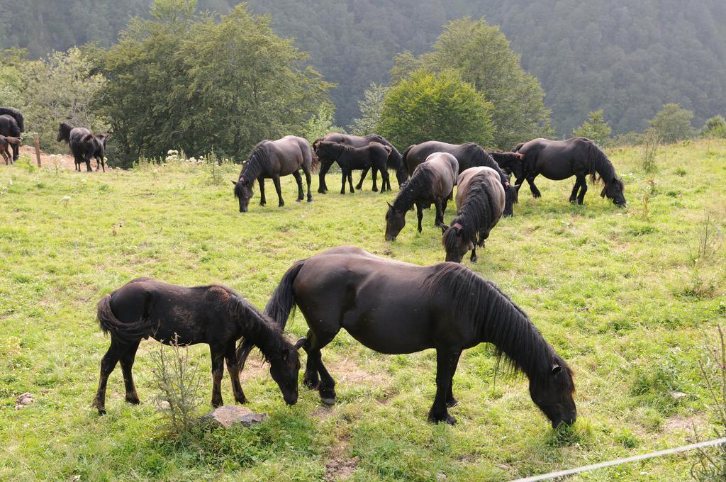 Parque de Campismo Camping-gites Au Songe Du Valier